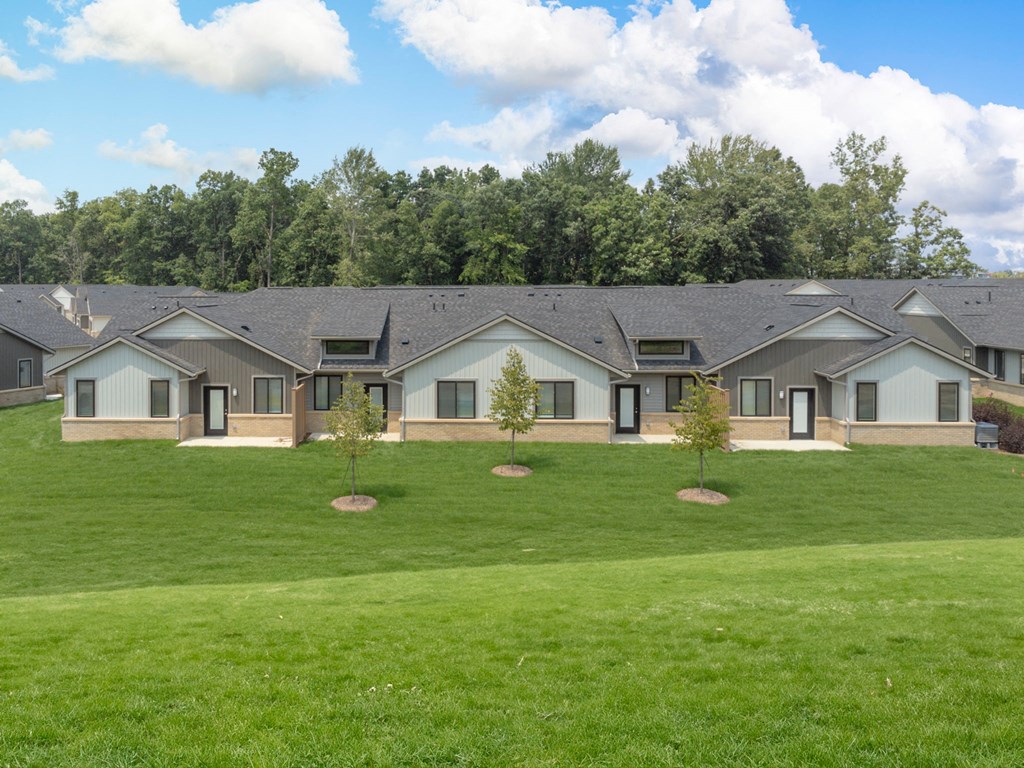 a group of houses in a field with trees in the background